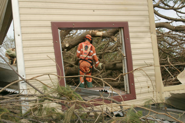 Trusted Glencoe, IL Tree Removal Experts